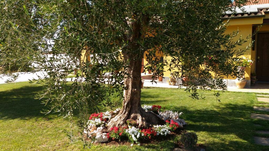 L'Antico Vigneto Hotel Marino Exterior photo